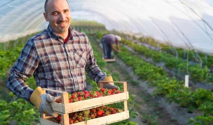 Gwarancja FGR (AGRO)